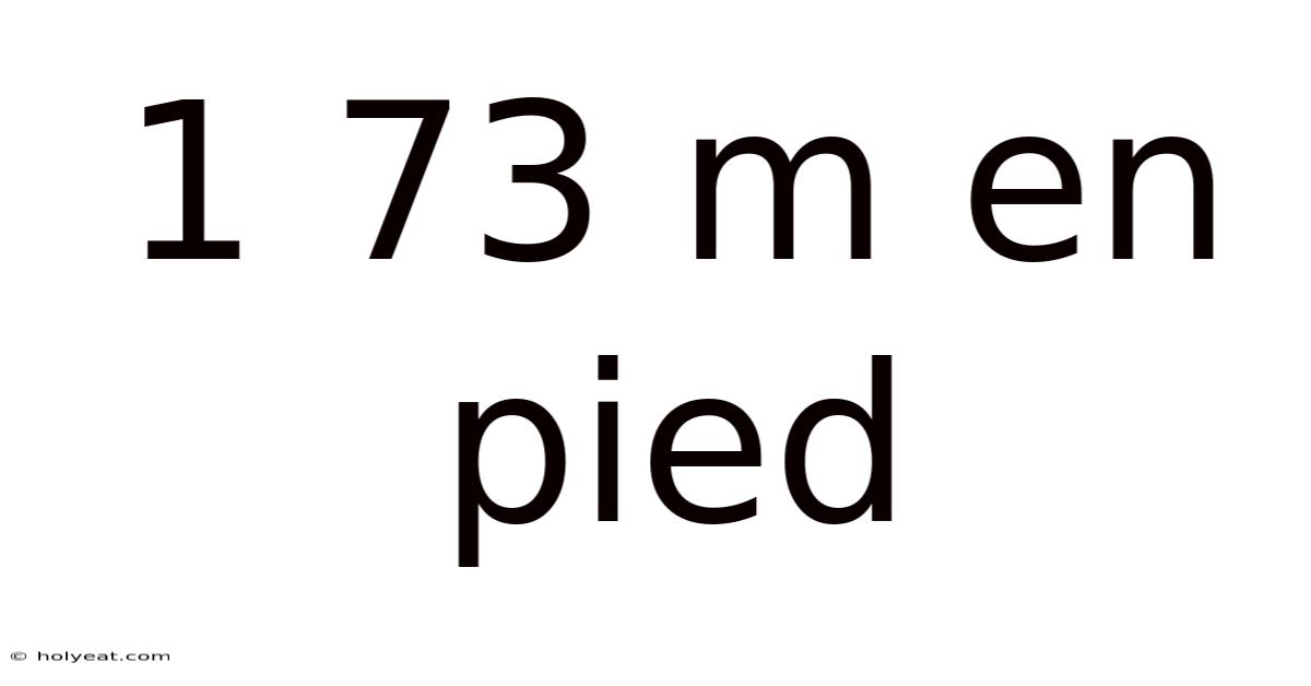 1 73 M En Pied
