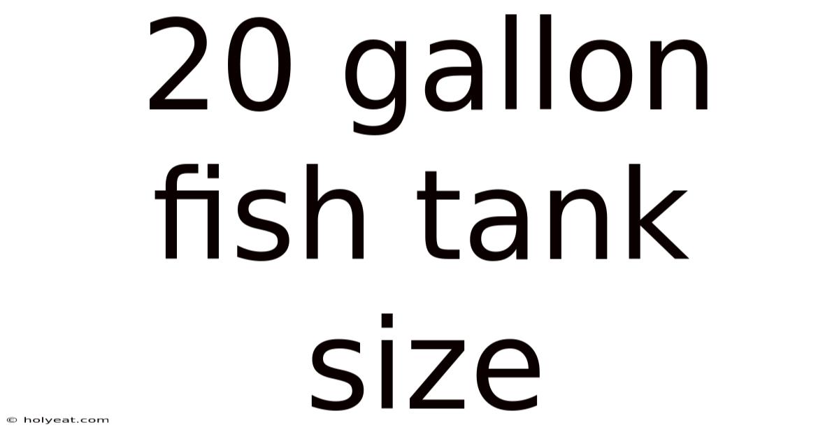 20 Gallon Fish Tank Size