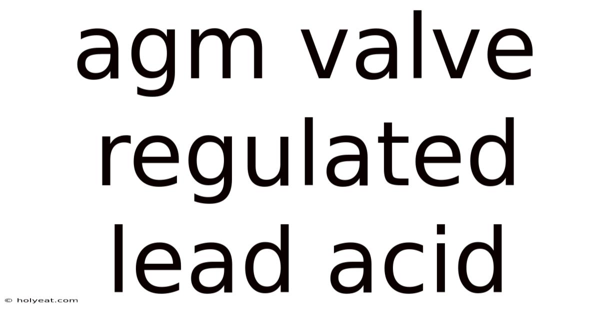 Agm Valve Regulated Lead Acid