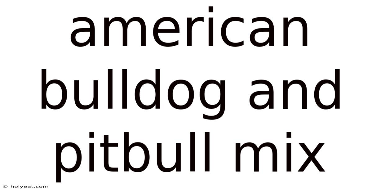 American Bulldog And Pitbull Mix