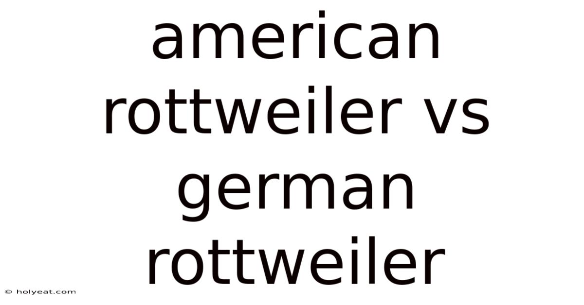 American Rottweiler Vs German Rottweiler