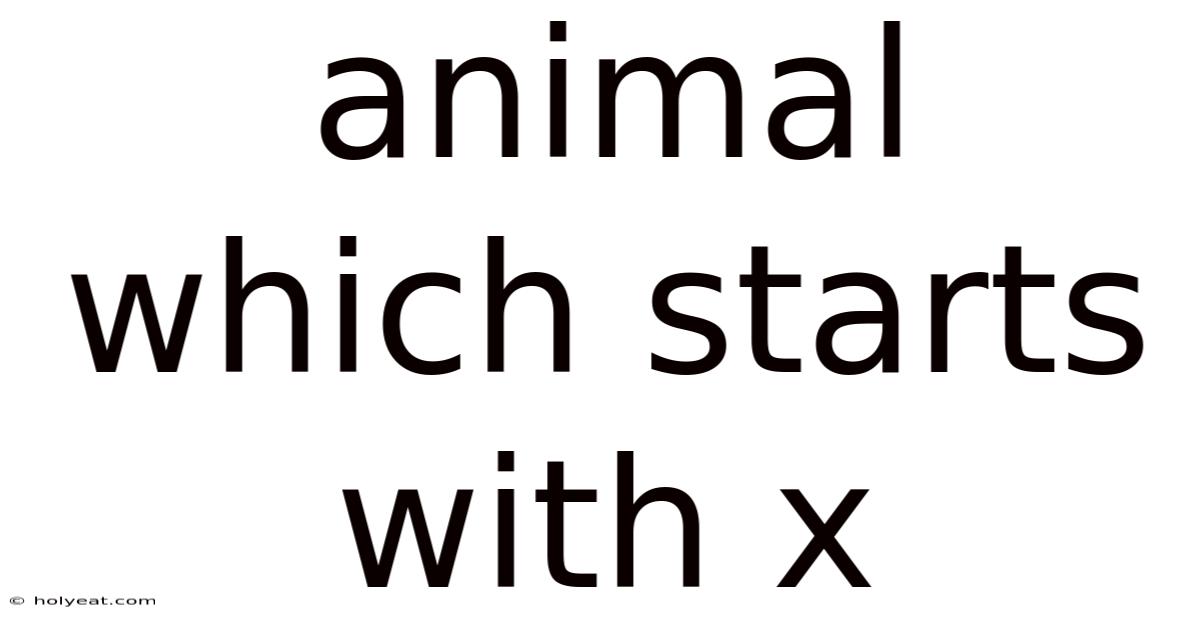 Animal Which Starts With X