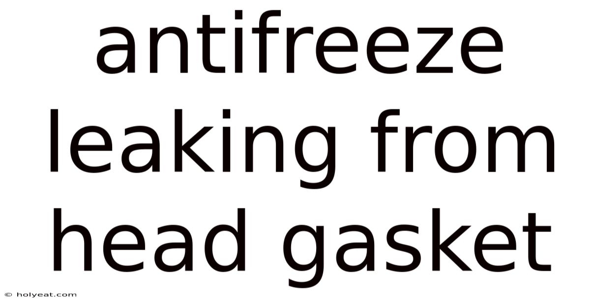 Antifreeze Leaking From Head Gasket