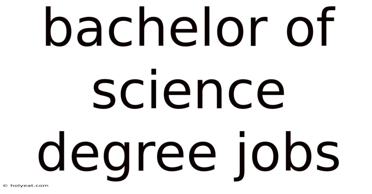 Bachelor Of Science Degree Jobs
