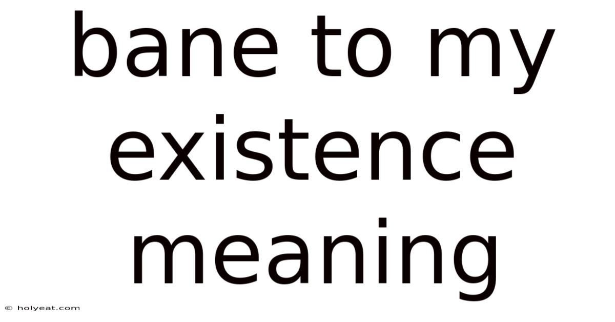 Bane To My Existence Meaning