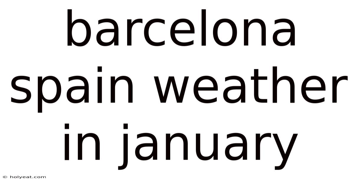 Barcelona Spain Weather In January