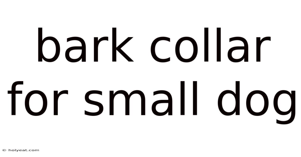Bark Collar For Small Dog