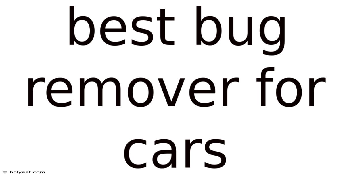 Best Bug Remover For Cars