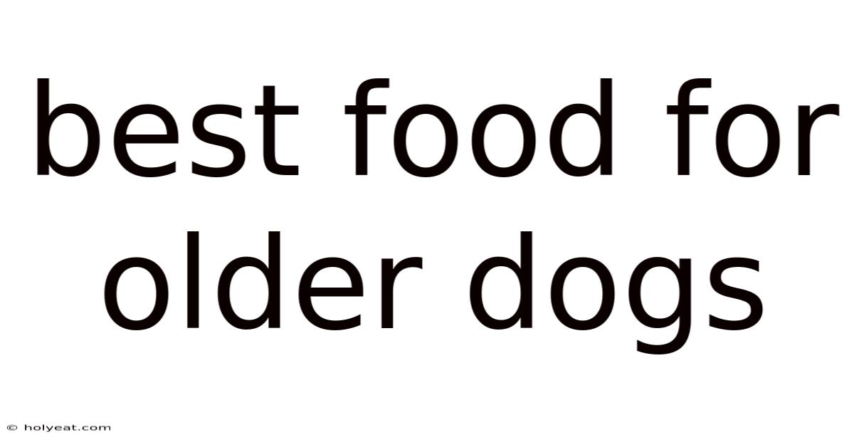 Best Food For Older Dogs