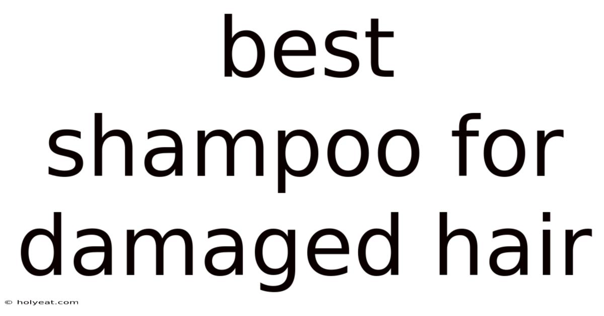 Best Shampoo For Damaged Hair