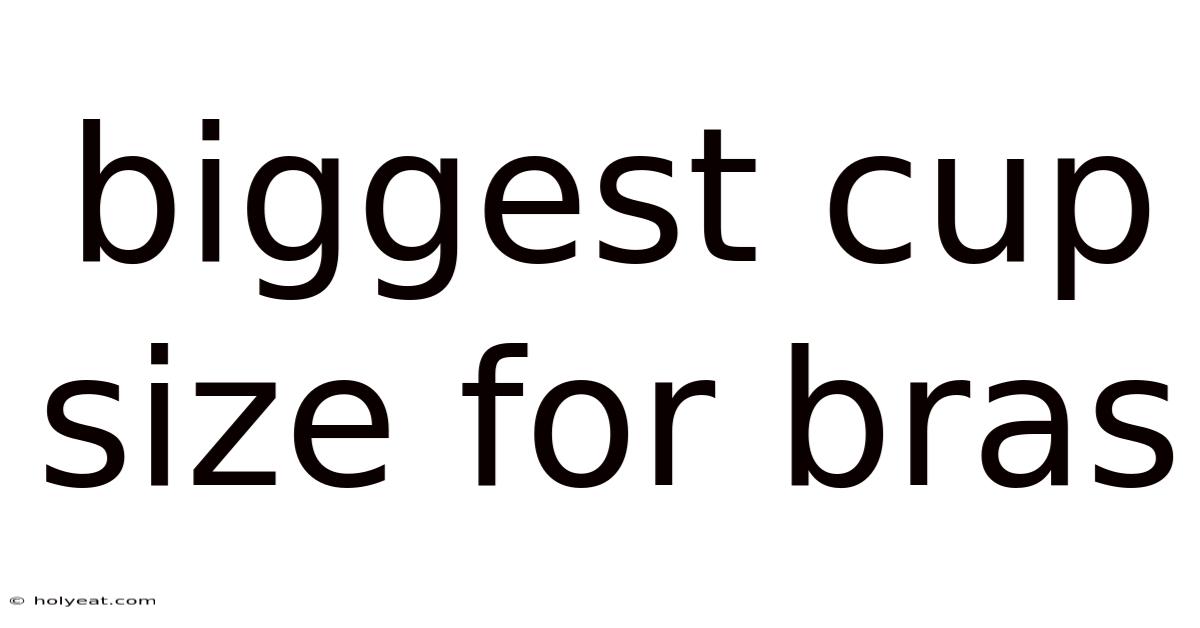 Biggest Cup Size For Bras