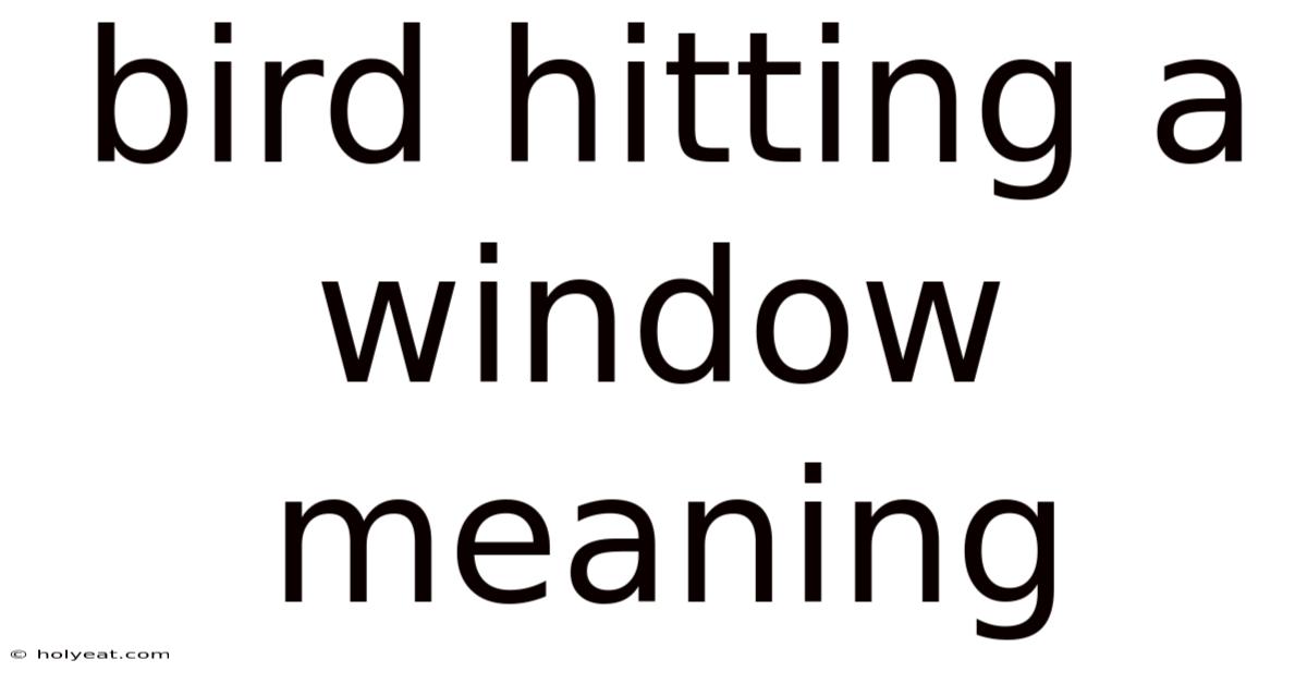Bird Hitting A Window Meaning