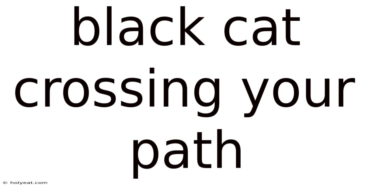 Black Cat Crossing Your Path