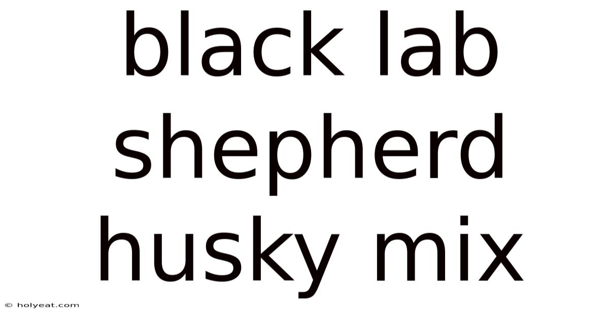 Black Lab Shepherd Husky Mix