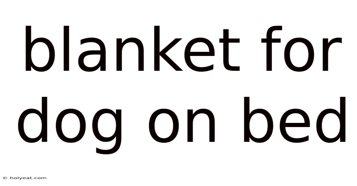 Blanket For Dog On Bed
