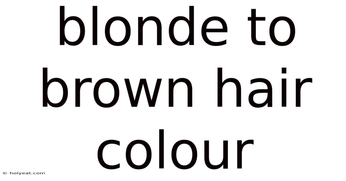 Blonde To Brown Hair Colour