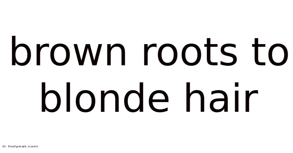 Brown Roots To Blonde Hair
