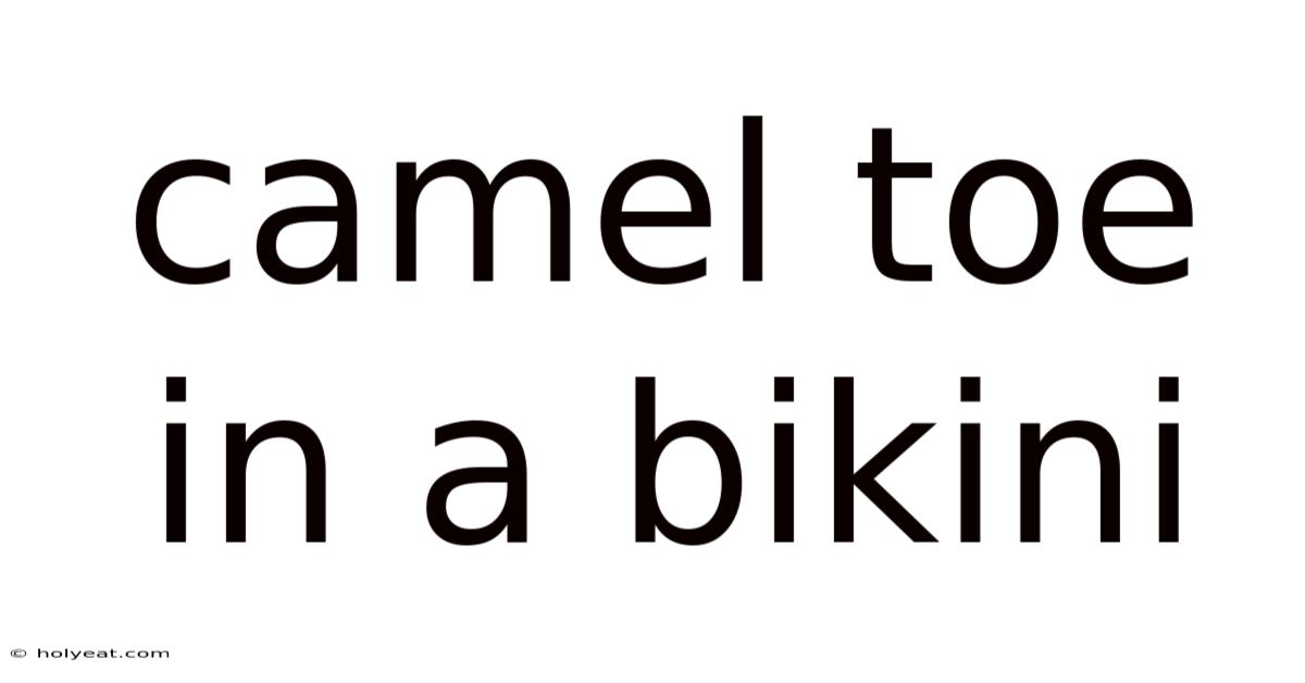 Camel Toe In A Bikini