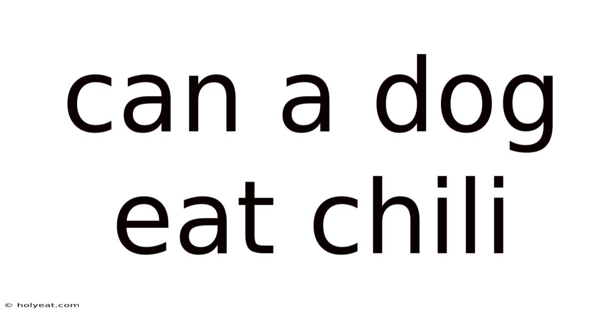 Can A Dog Eat Chili