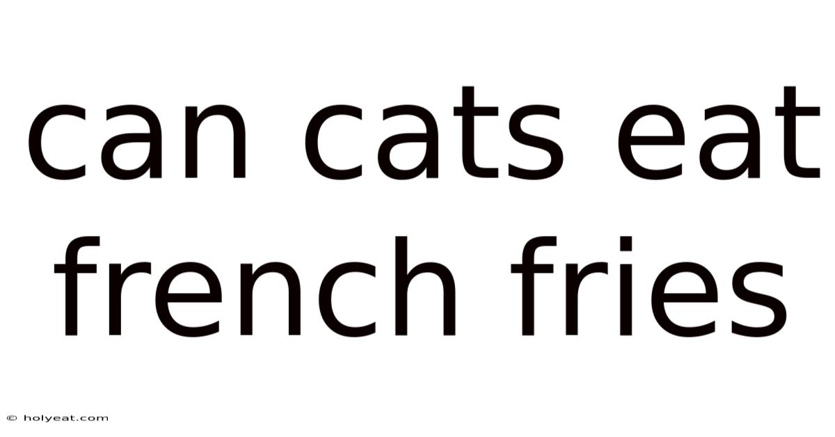 Can Cats Eat French Fries