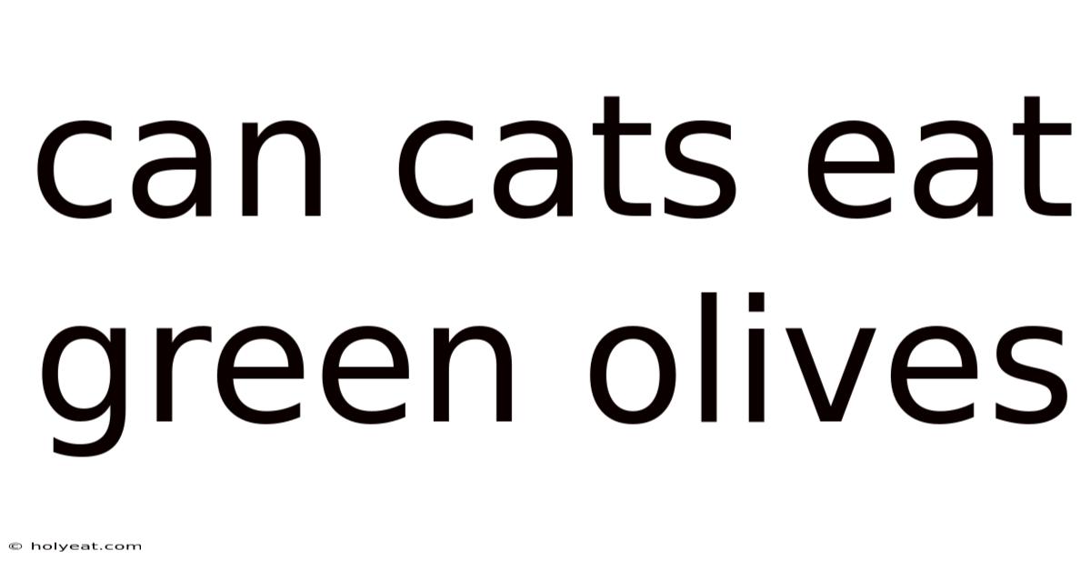 Can Cats Eat Green Olives