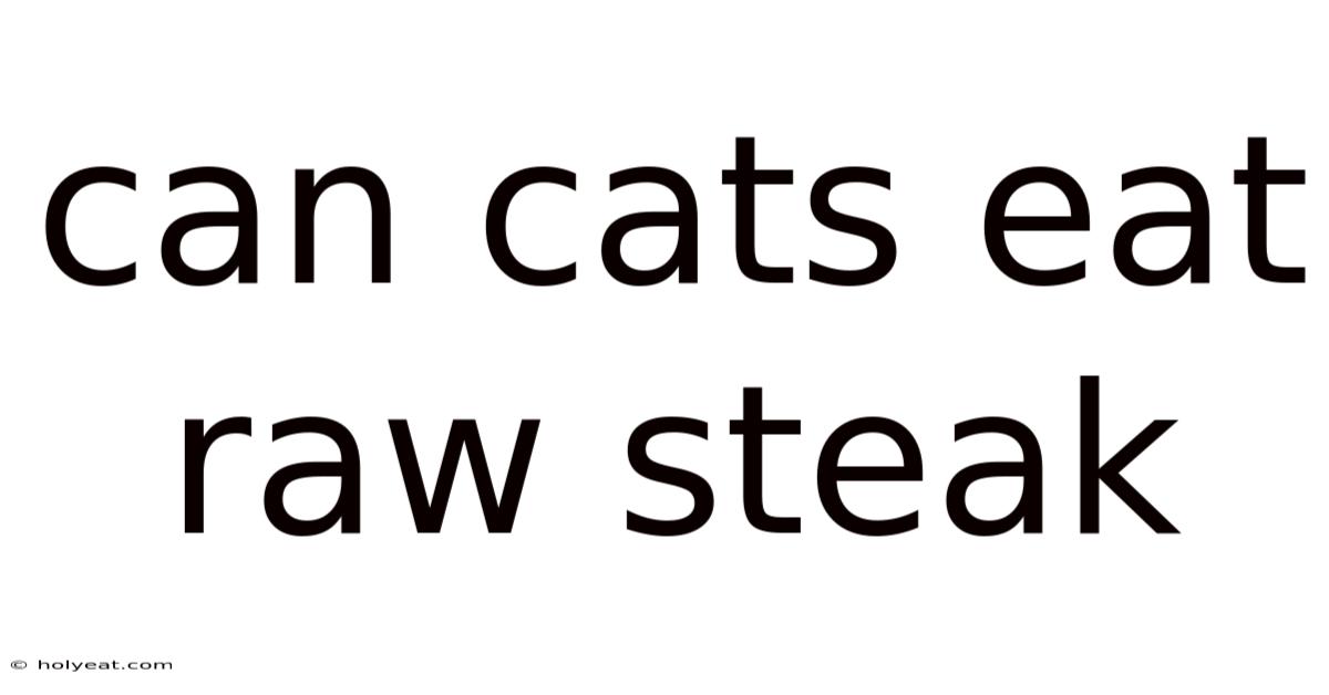 Can Cats Eat Raw Steak