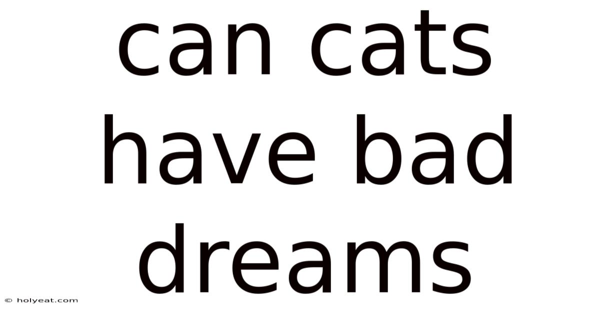 Can Cats Have Bad Dreams