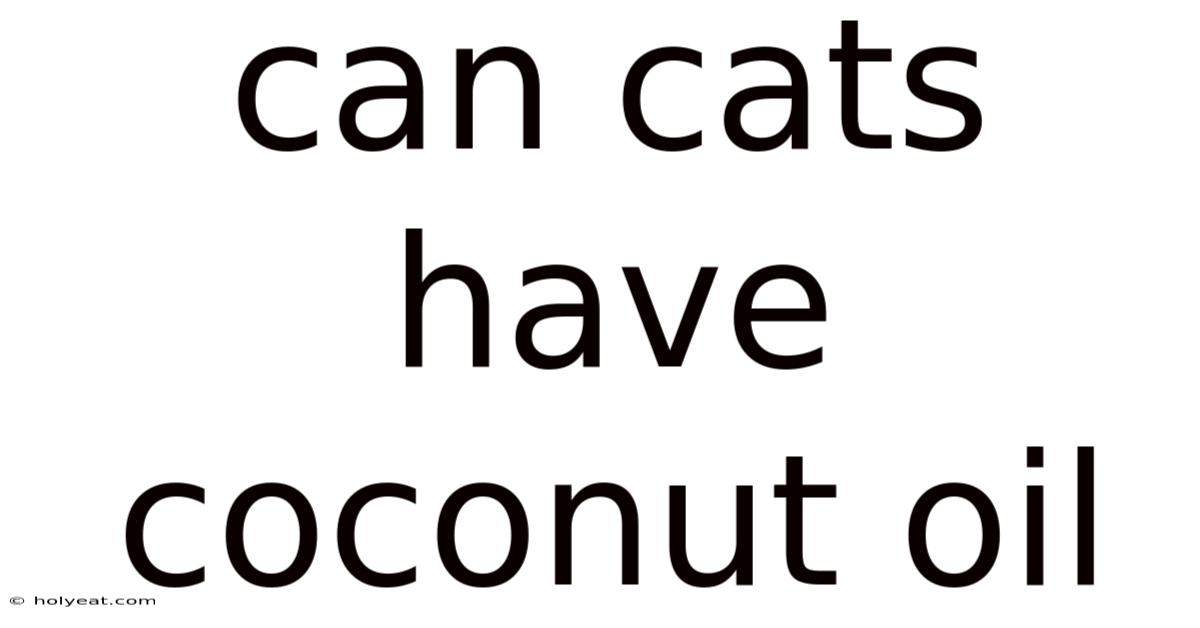 Can Cats Have Coconut Oil