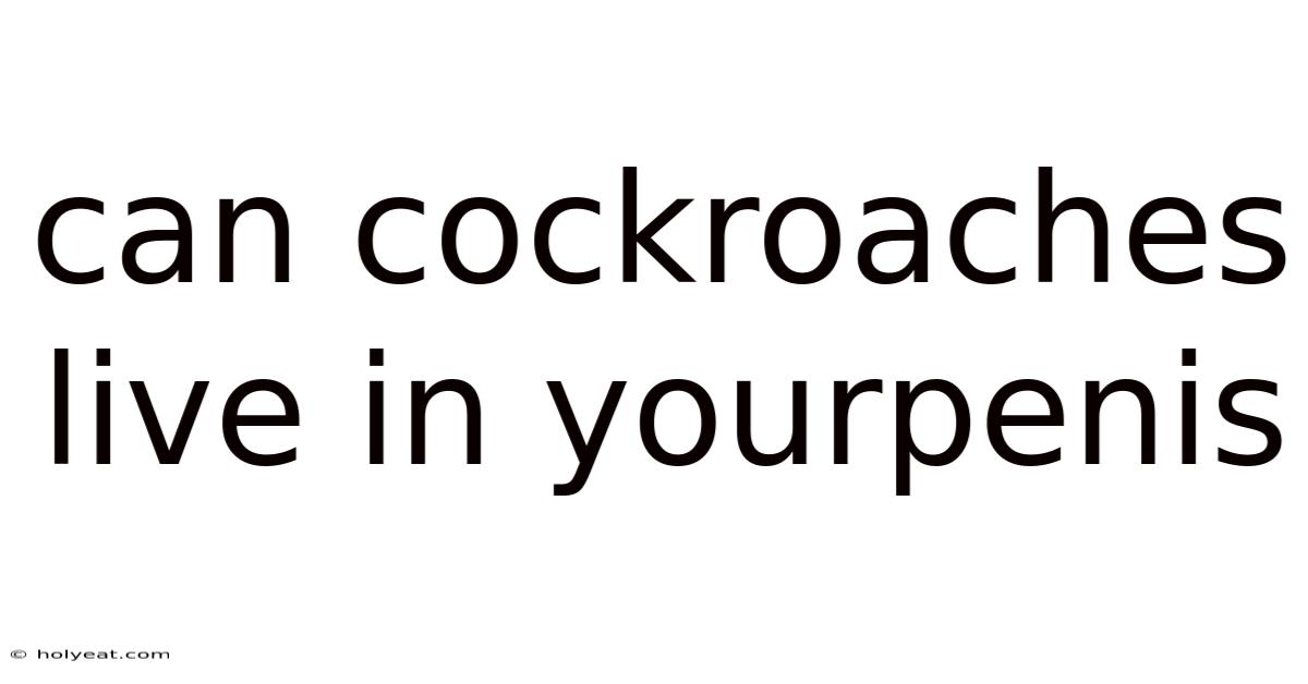 Can Cockroaches Live In Yourpenis