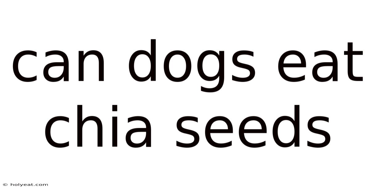 Can Dogs Eat Chia Seeds