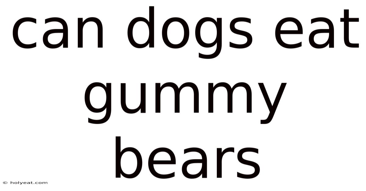 Can Dogs Eat Gummy Bears