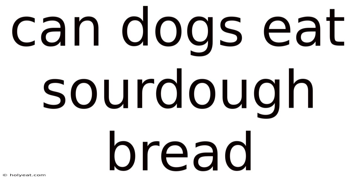 Can Dogs Eat Sourdough Bread