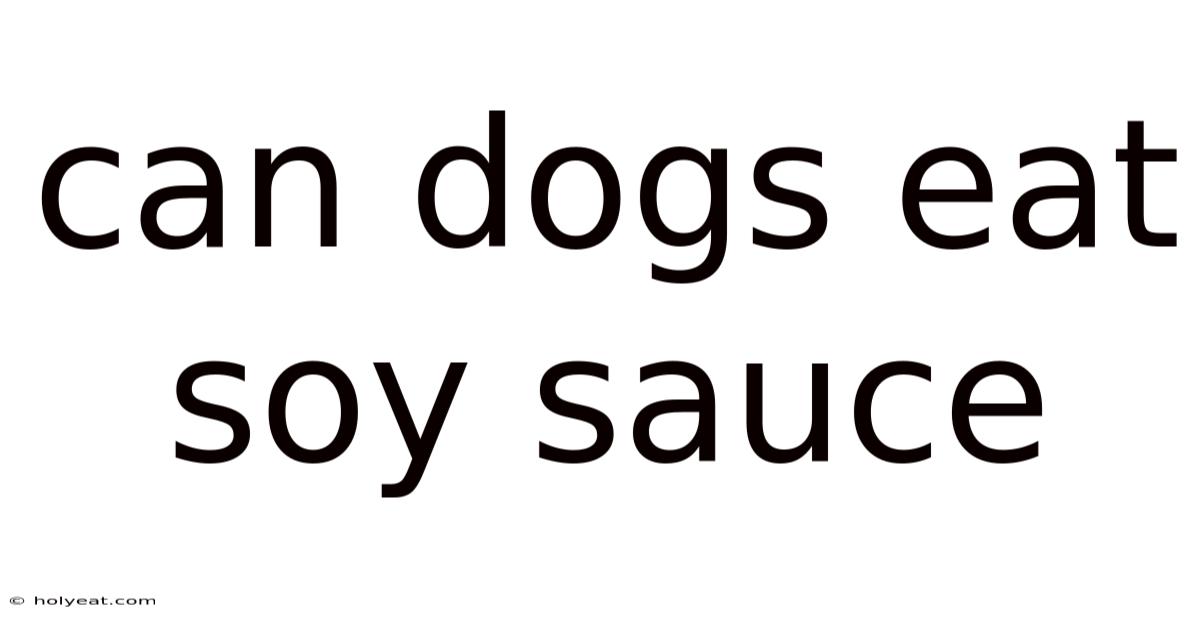 Can Dogs Eat Soy Sauce