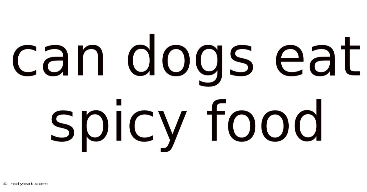 Can Dogs Eat Spicy Food