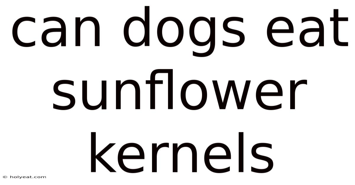 Can Dogs Eat Sunflower Kernels