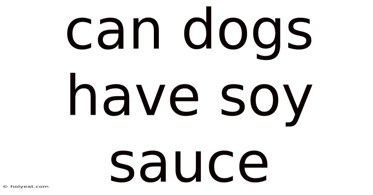Can Dogs Have Soy Sauce