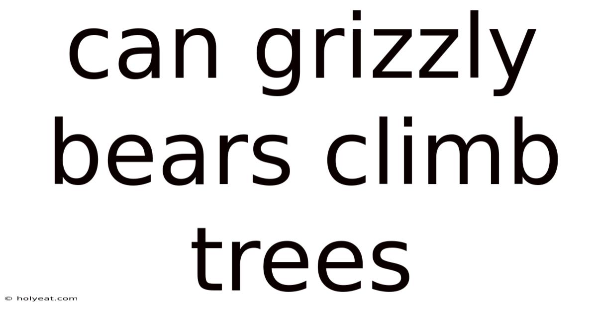 Can Grizzly Bears Climb Trees