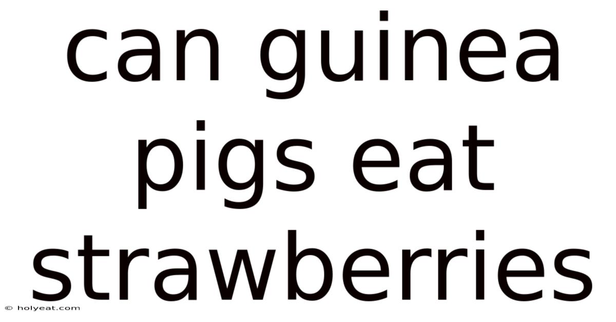 Can Guinea Pigs Eat Strawberries