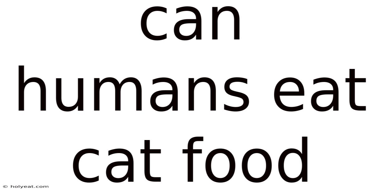 Can Humans Eat Cat Food
