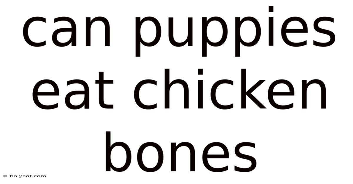 Can Puppies Eat Chicken Bones