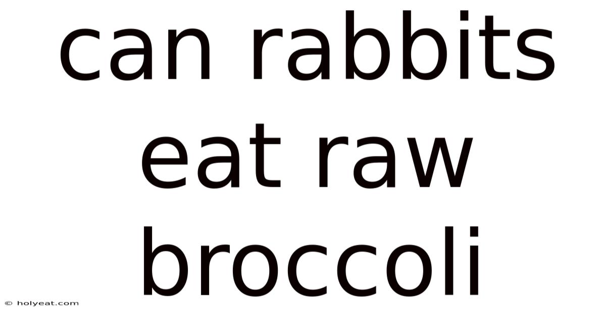 Can Rabbits Eat Raw Broccoli