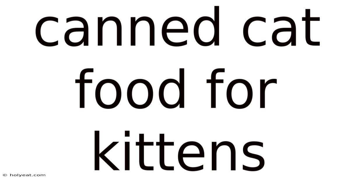 Canned Cat Food For Kittens