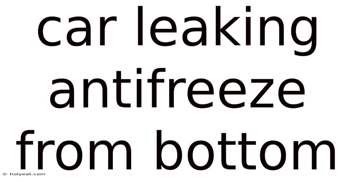 Car Leaking Antifreeze From Bottom