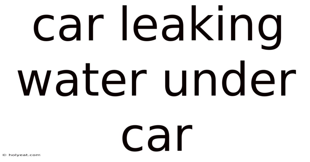 Car Leaking Water Under Car