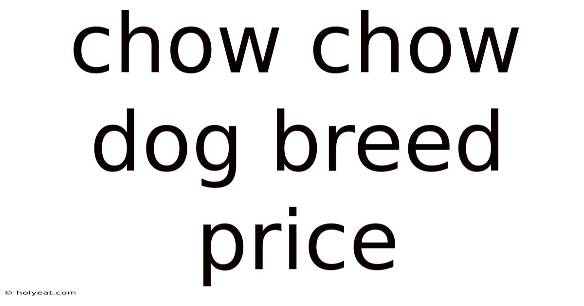 Chow Chow Dog Breed Price