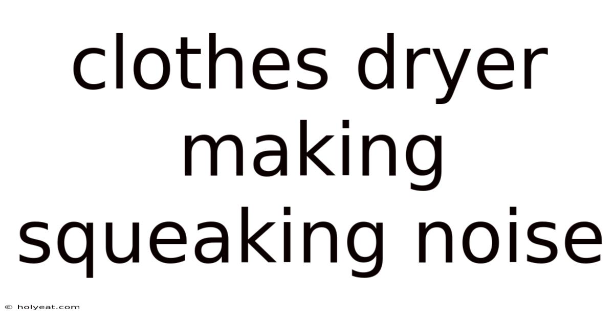 Clothes Dryer Making Squeaking Noise