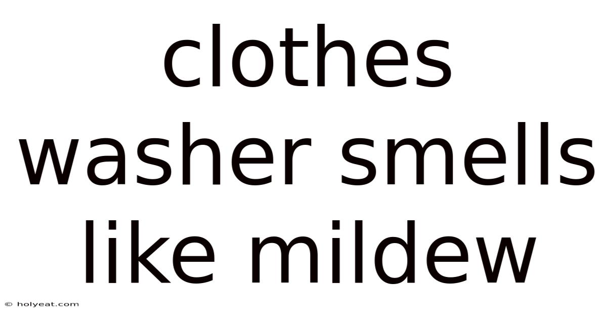 Clothes Washer Smells Like Mildew