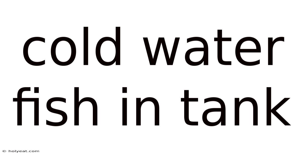 Cold Water Fish In Tank