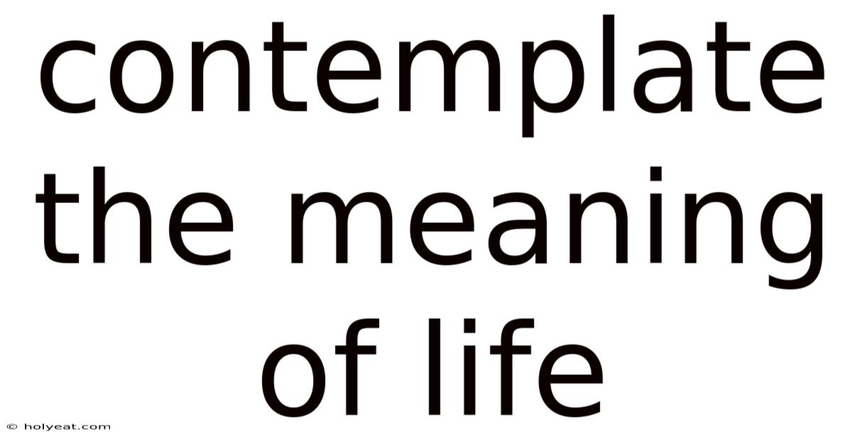 Contemplate The Meaning Of Life