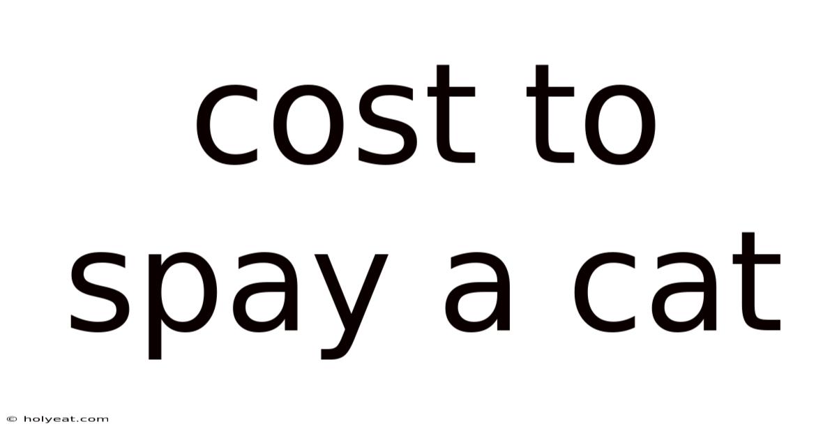 Cost To Spay A Cat